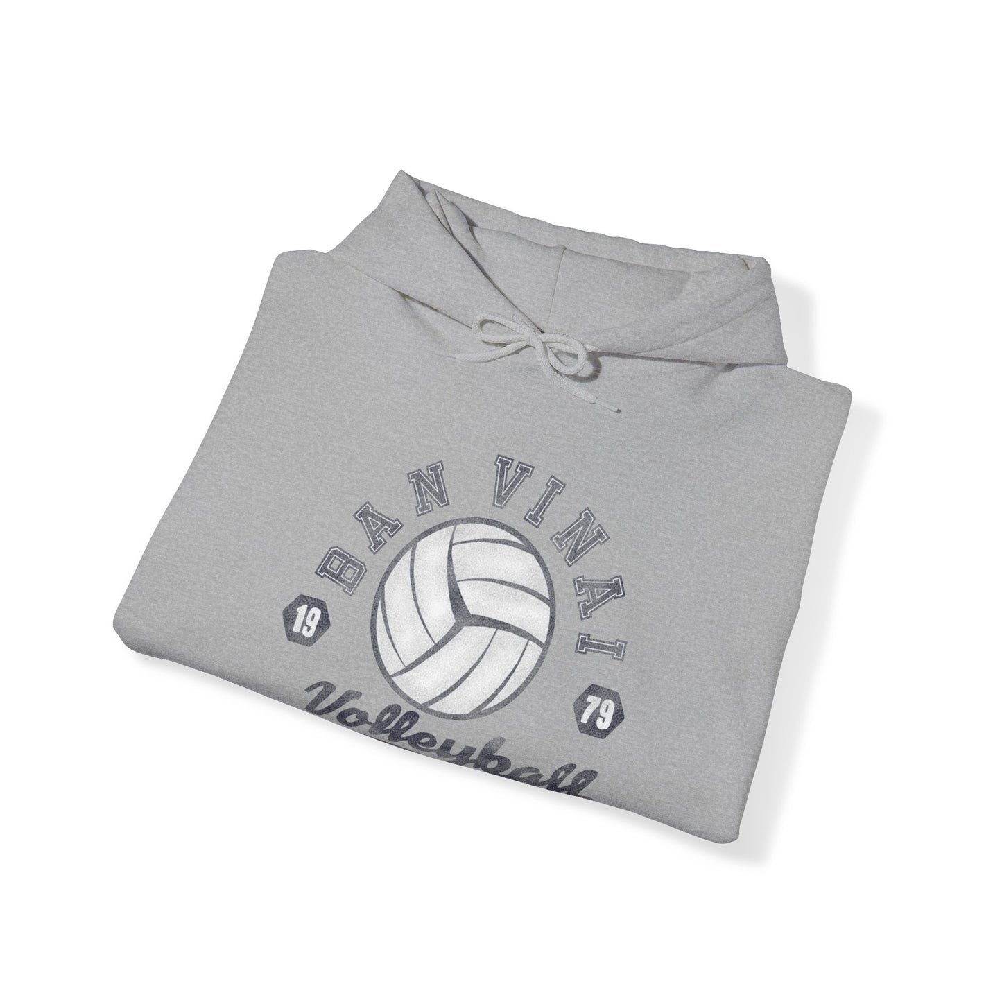 Ban Vinai volleyball Unisex Heavy Blend™ Hooded Sweatshirt